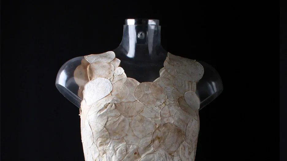 Garment made of mushroom mycelium by Anna Hoitink