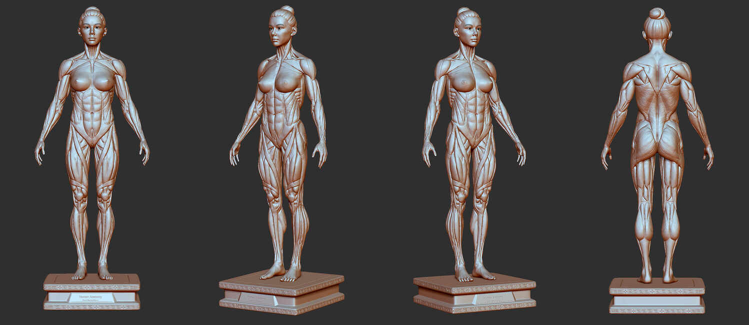 ZBrush sculpting interface